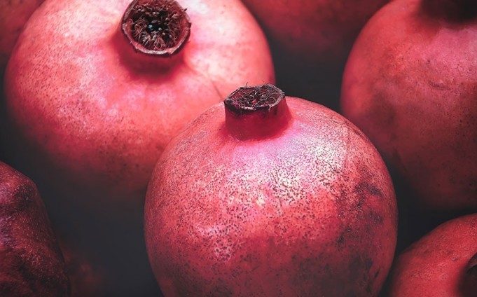 PEPINIERE MABROUKA Tunisie | Grenadine Gabsi