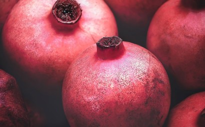 PEPINIERE MABROUKA Tunisie | Grenadine Jbali